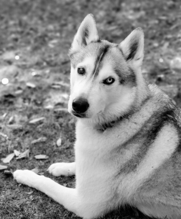 Screenshot_20220401-113029_Photo Editor